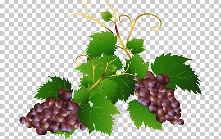 Sultana Grape Portable Network Graphics Tea Beer PNG, Clipart, Alcoholic Drink, Beer, Desktop Wallpaper, Flowering, Food Free PNG Download