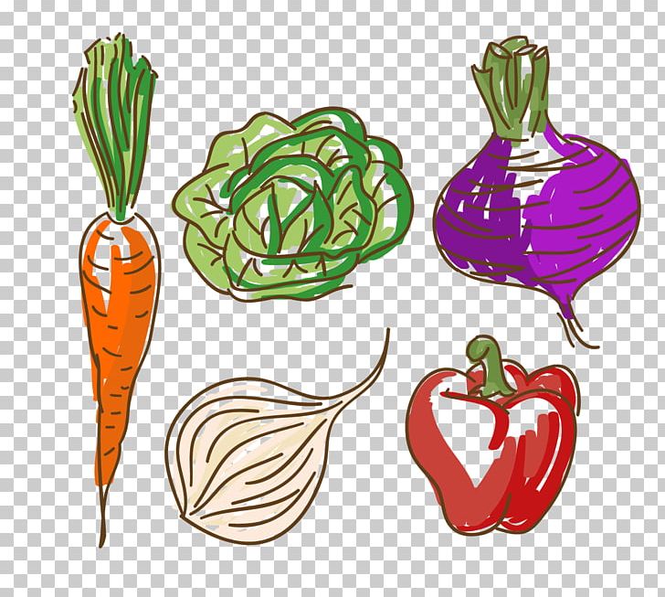 Vegetable Carrot Food Capsicum Annuum PNG, Clipart, Carrots, Carrots Vector, Cauliflower, Chil, Cooking Free PNG Download