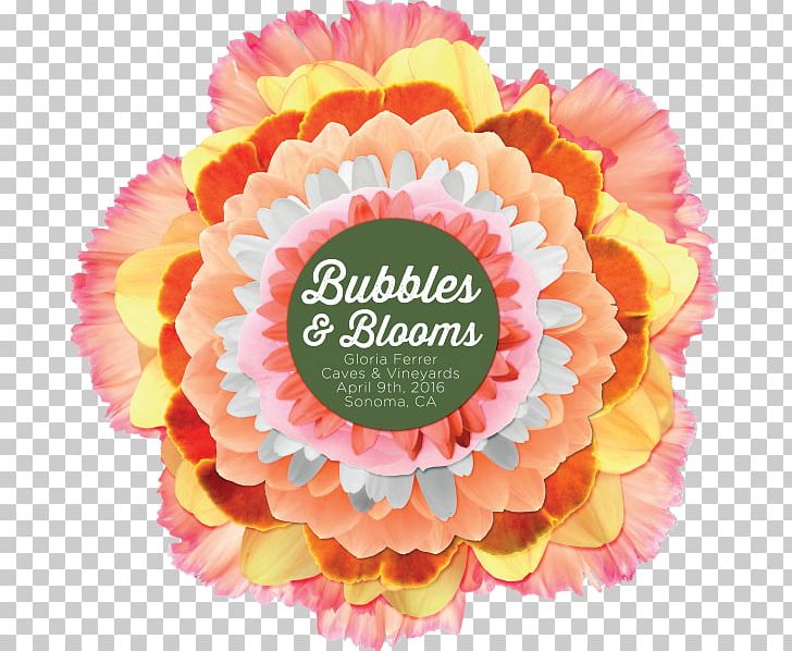 Winemaker Gloria Ferrer Caves & Vineyards Chardonnay Russian River Valley AVA PNG, Clipart, Barrel, Bloom, Bubble, Chardonnay, Cut Flowers Free PNG Download