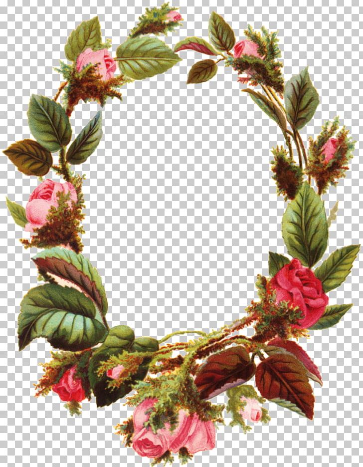 Flower Frames Rose PNG, Clipart, Artificial Flower, Encapsulated Postscript, Floral Design, Flower, Nature Free PNG Download