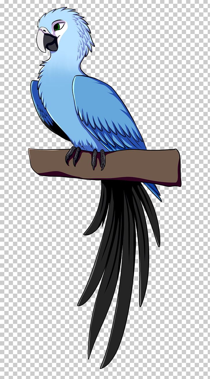 Parrot Bird Spix's Macaw Parakeet PNG, Clipart, Animals, Art, Beak, Bird, Bird Of Prey Free PNG Download