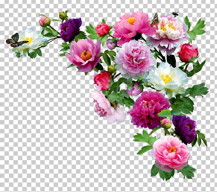 Photography Drawing PNG, Clipart, Annual Plant, Artificial Flower, Aster, Chrysanths, Cut Flowers Free PNG Download
