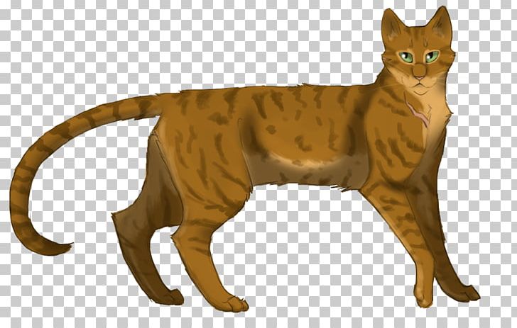 Whiskers Domestic Short-haired Cat Warriors Wildcat PNG, Clipart, Animal, Animal Figure, Animals, Carnivoran, Cat Free PNG Download