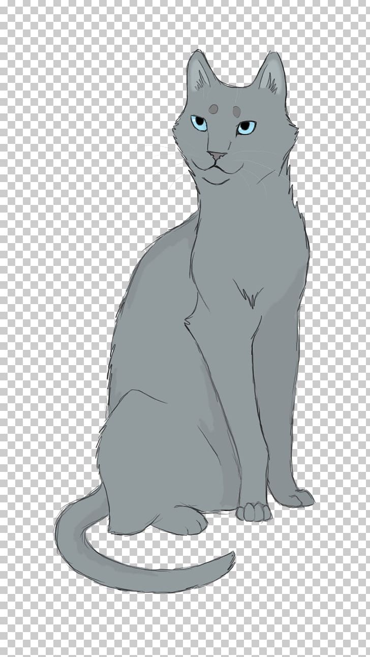 Whiskers Korat Kitten Domestic Short-haired Cat Dog PNG, Clipart, Animals, Black, Black M, Canidae, Carnivoran Free PNG Download