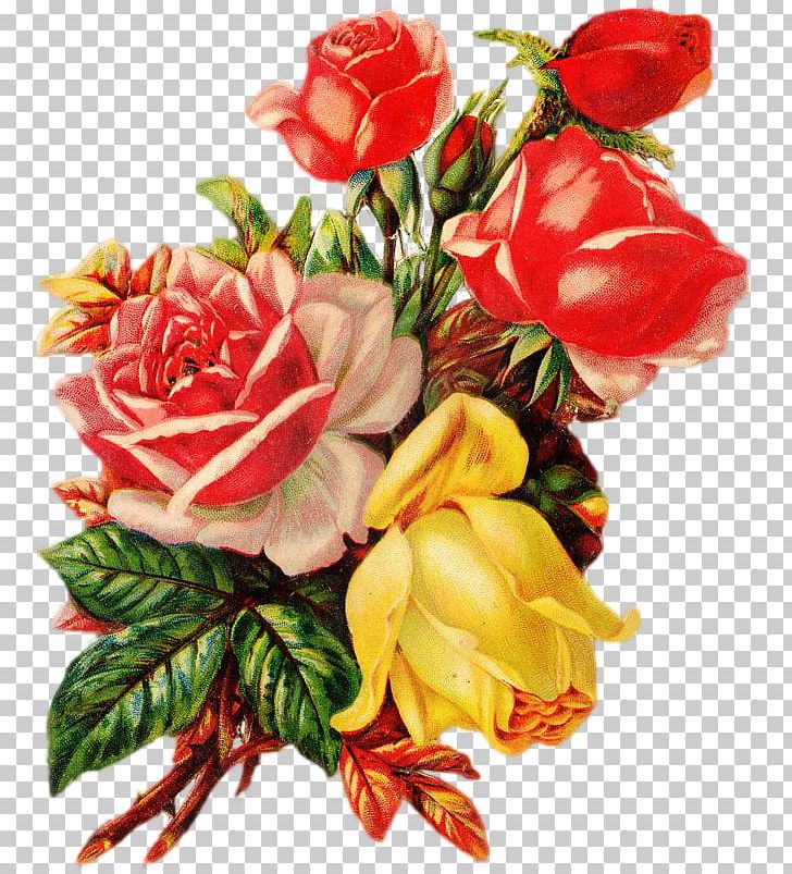 Garden Roses Cabbage Rose Cut Flowers Flower Bouquet PNG, Clipart, Artificial Flower, Cut Flowers, Floral Design, Floristry, Flower Free PNG Download