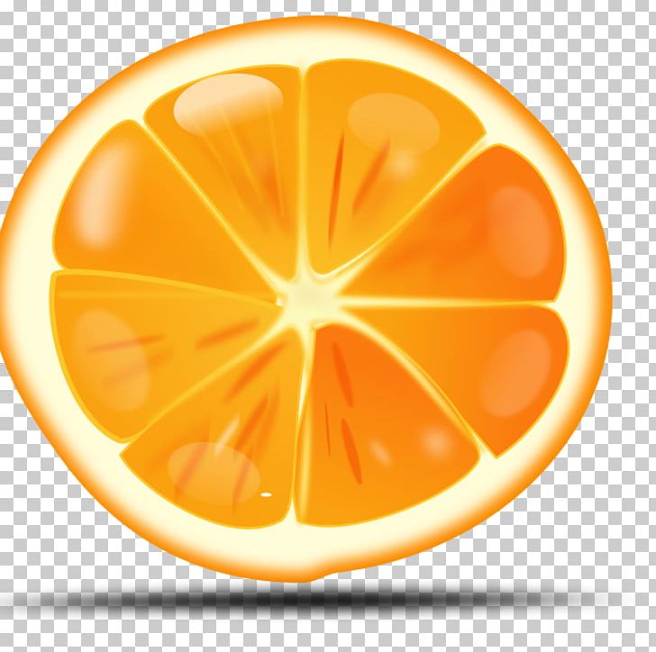 Orange Open Graphics PNG, Clipart, Circle, Citrus, Computer Icon, Computer Icons, Food Free PNG Download