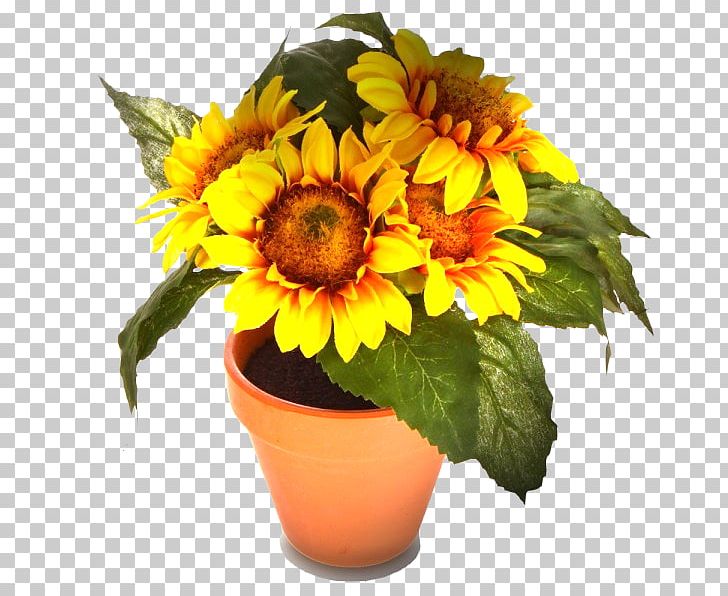 Common Sunflower Painting Cut Flowers PNG, Clipart, Artificial Flower, Cicekler, Common Sunflower, Cut Flowers, Daisy Family Free PNG Download