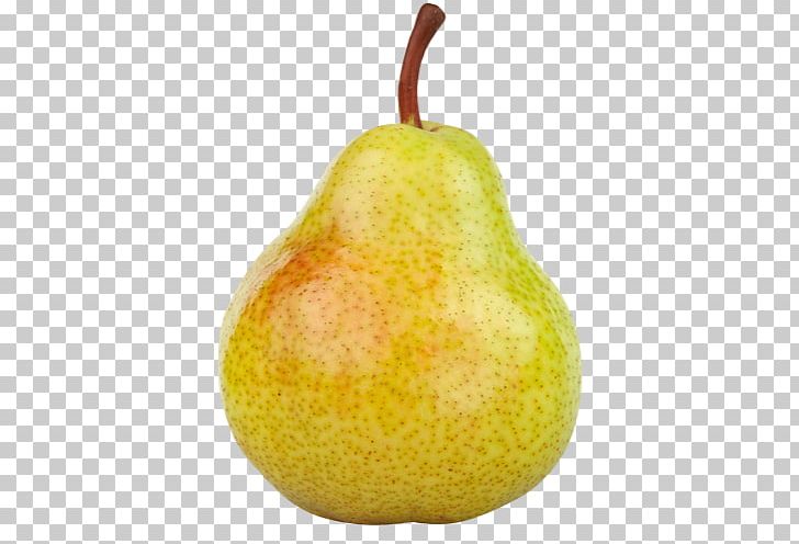 Drawing Pear Food Line PNG, Clipart, Accessory Fruit, Apple, Asian Pear, Birne, Curve Free PNG Download