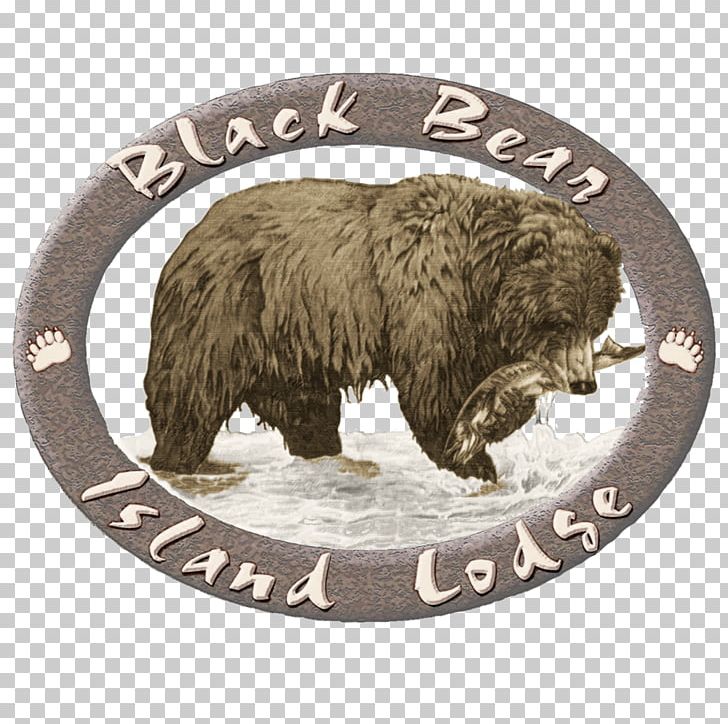 Grizzly Bear American Black Bear Bear Hunting PNG, Clipart, Accommodation, Alaska Peninsula Brown Bear, American Black Bear, Animals, Bear Free PNG Download
