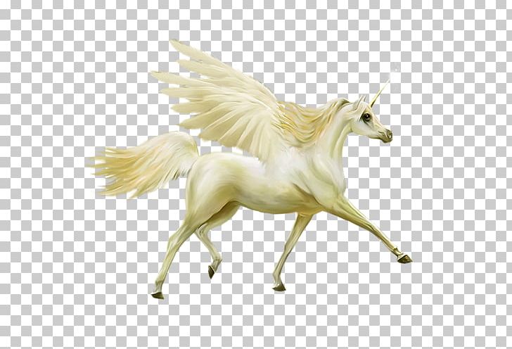 Howrse Unicorn Horse Pegasus PNG, Clipart, Background White, Black White, Cabinet Of Curiosities, Encapsulated Postscript, Fantasy Free PNG Download