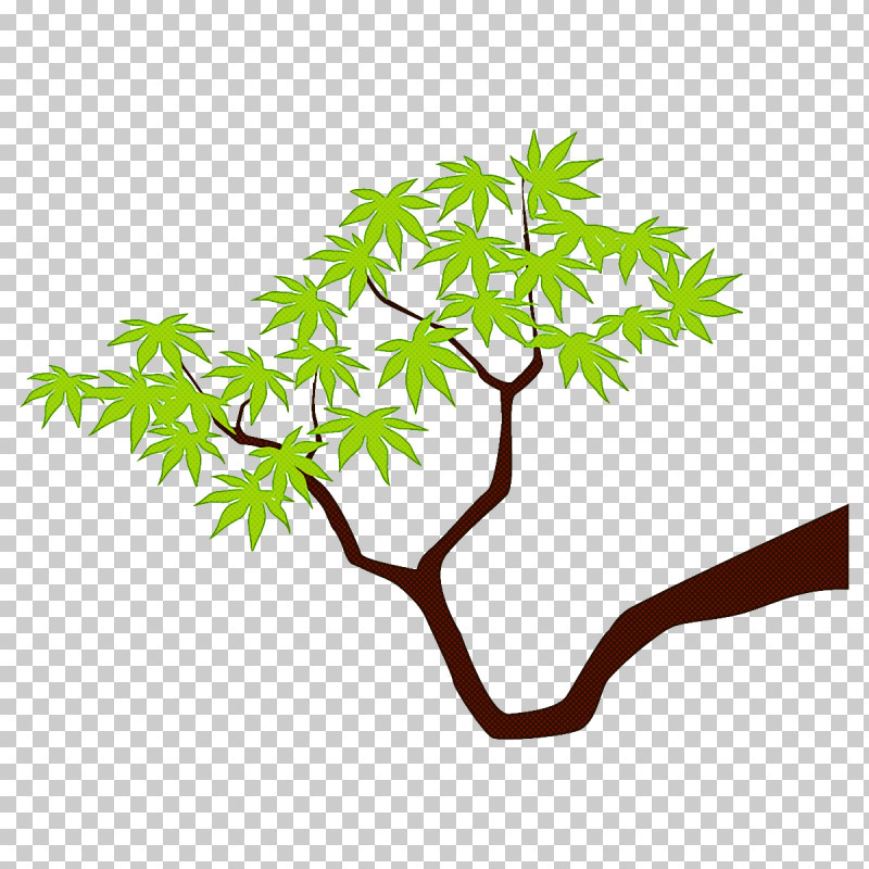 Maple Branch Maple Leaves Maple Tree PNG, Clipart, Branch, Flower, Green, Leaf, Maple Branch Free PNG Download