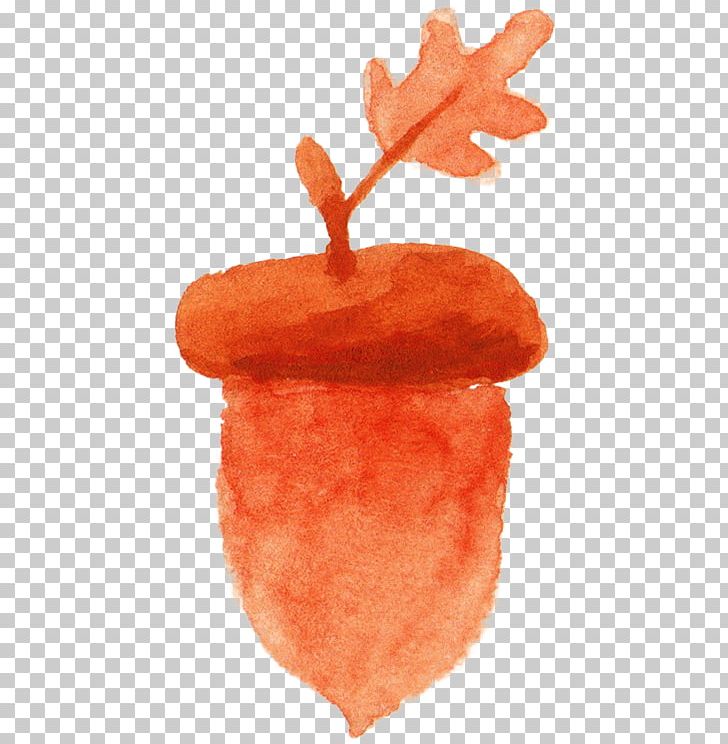 Acorn Watercolor Painting Orange PNG, Clipart, Acorn, Acorn And Flowers, Acorn Border, Acorn Forest, Acorns Free PNG Download