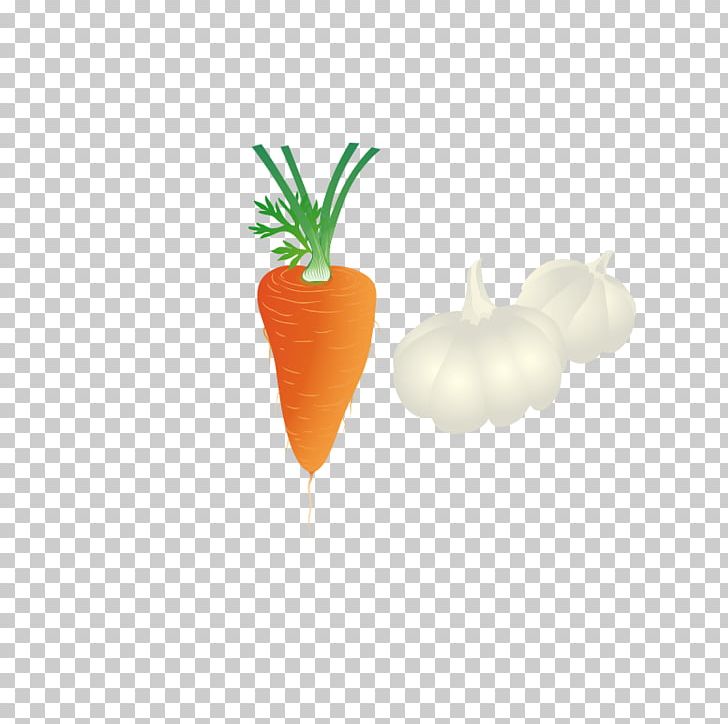 Carrot Ingredient Garlic PNG, Clipart, Bunch Of Carrots, Carrot, Carrot Cartoon, Carrot Juice, Carrots Free PNG Download