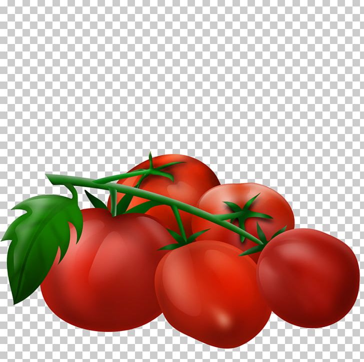 Plum Tomato Vegetable Cherry Tomato Bush Tomato Fruit PNG, Clipart, Cartoon, Cherry, Diet Food, Encapsulated Postscript, Food Free PNG Download