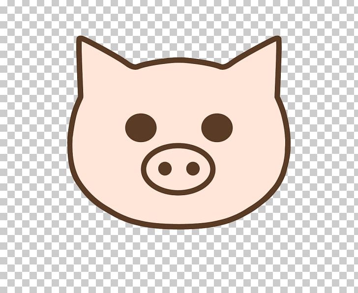 Whiskers Cat Pig Snout PNG, Clipart, 27713, Animals, Carnivoran, Cat, Cat Like Mammal Free PNG Download