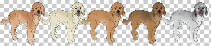 Artist Goldendoodle Mustang Cockapoo PNG, Clipart,  Free PNG Download