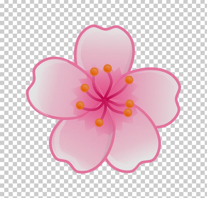 Cherry Blossom Flower PNG, Clipart, Blossom, Cherry, Cherry Blossom, Clip Art, Computer Icons Free PNG Download