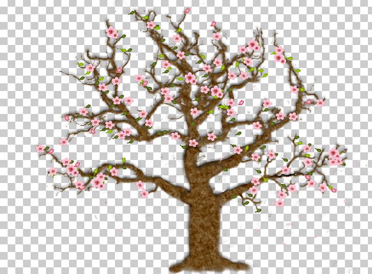 Cherry Blossom Paper Scrapbooking Art PNG, Clipart, Art, Blossom, Branch, Cherry, Cherry Blossom Free PNG Download