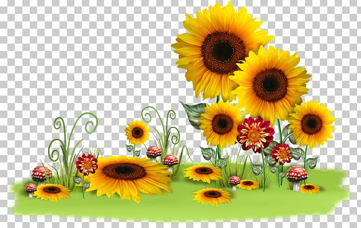 Flower .de PNG, Clipart, Annual Plant, Blog, Cut Flowers, Daisy Family, Flower Free PNG Download