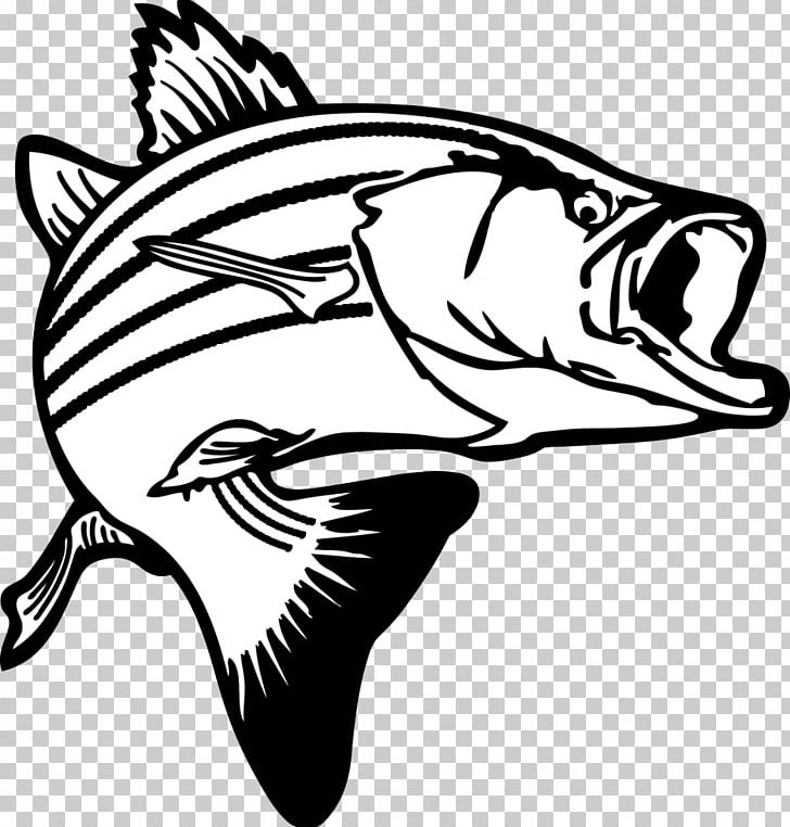 Largemouth Bass Bass Fishing PNG, Clipart, Art, Artwork, Bass, Black And White, Carnivoran Free PNG Download