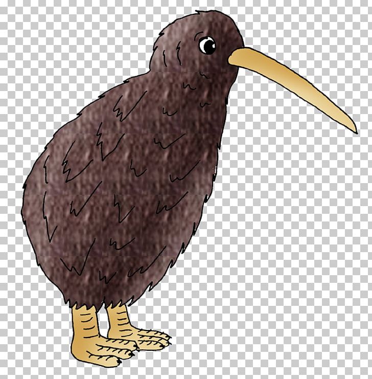 Bird Of Prey Beak Wing Fauna PNG, Clipart, Animals, Beak, Bird, Bird Of Prey, Fauna Free PNG Download