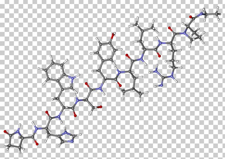 Leuprorelin Gonadotropin-releasing Hormone Agonist Gonadotropin-releasing Hormone Analogue Endometriosis PNG, Clipart, Angle, Area, Branch, Clinical Trial, Endometriosis Free PNG Download