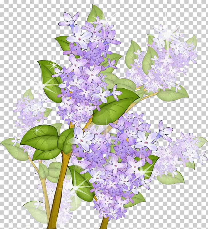 Lilac Flower Frames PNG, Clipart, Branch, Floral Design, Flower, Flowering Plant, Lavender Free PNG Download