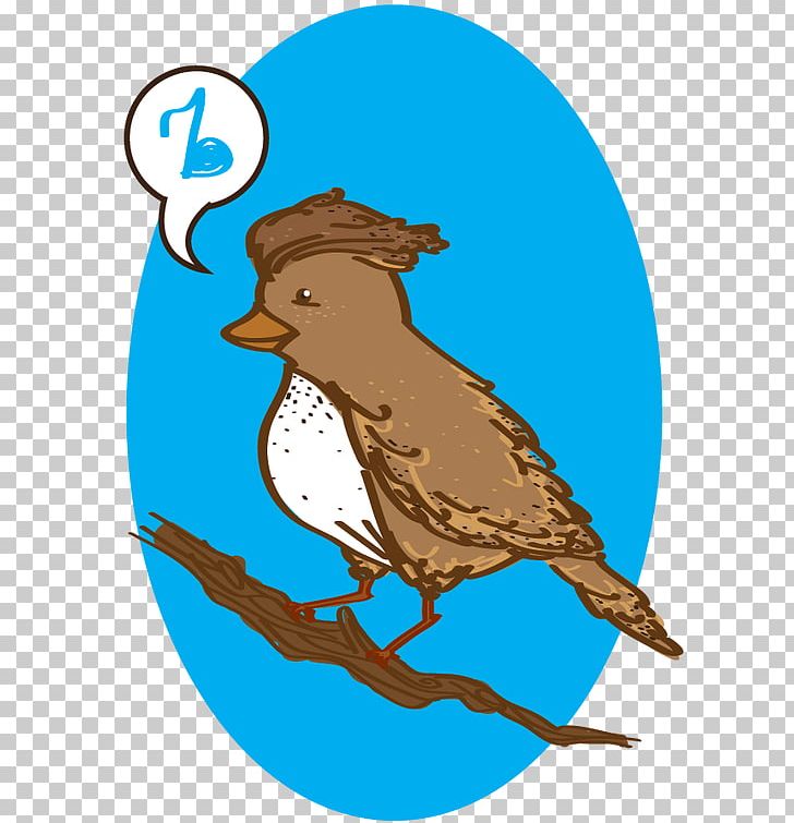 Rufous Hornero Passerine Drawing PNG, Clipart, Animals, Art, Artwork, Banja Luka Stock Exchange, Beak Free PNG Download