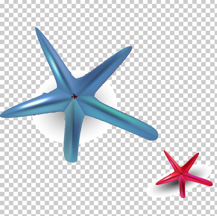 Starfish Euclidean PNG, Clipart, Animals, Blue, Color, Color Pencil, Color Splash Free PNG Download