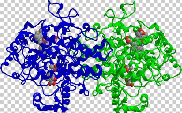 Cyclooxygenase Prostaglandin-endoperoxide Synthase 2 Mechanism Of Action Of Aspirin PTGS1 PNG, Clipart, Area, Artwork, Aspirin, Circle, Cox2 Inhibitor Free PNG Download