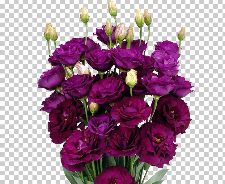 Garden Roses Pink Flowers Cut Flowers Floral Design Purple PNG, Clipart, Annual Plant, Art, Artificial Flower, Carnation, Cut Flowers Free PNG Download
