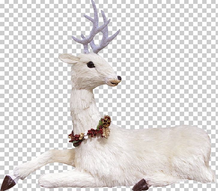 Reindeer PNG, Clipart, Adobe Illustrator, Animal, Animals, Antler, Background White Free PNG Download