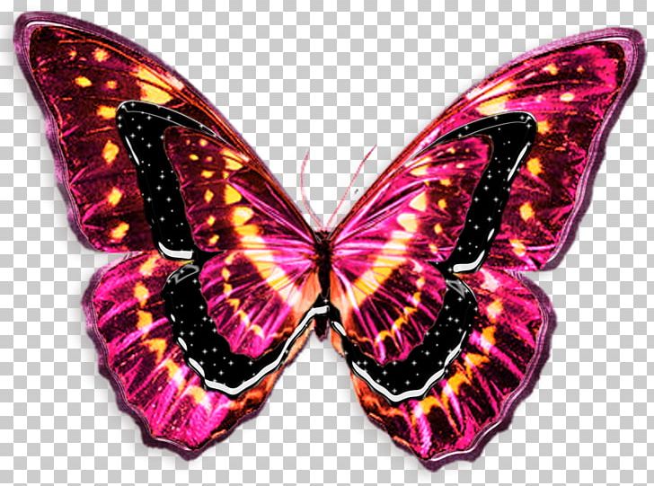 Sketch Light Butterflies And Moths Tattoo Photography PNG, Clipart, Arthropod, Blue Butterflies, Brush Footed Butterfly, Butterflies And Moths, Butterfly Free PNG Download