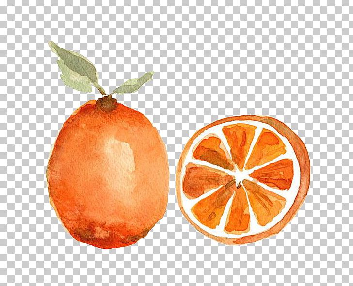 Watercolor Painting Orange Fruit Printmaking PNG, Clipart, Cartoon, Citric Acid, Citrus, Color, Creative Free PNG Download