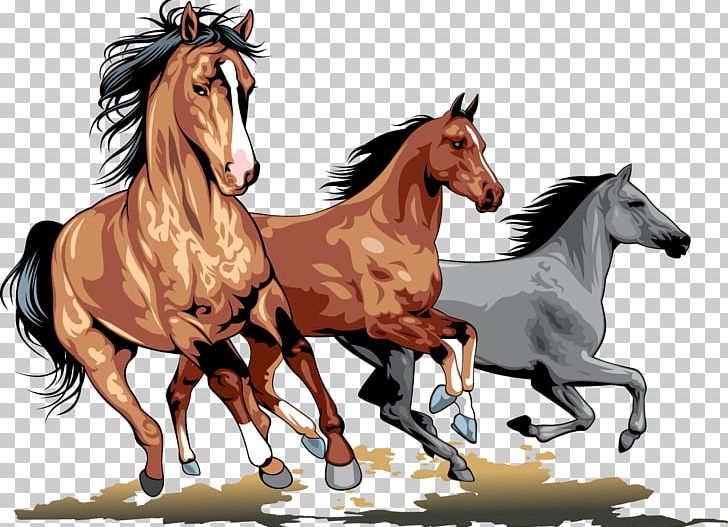 Wild Horse PNG, Clipart, Animal, Animals, Bridle, Clip Art, Colt Free PNG Download