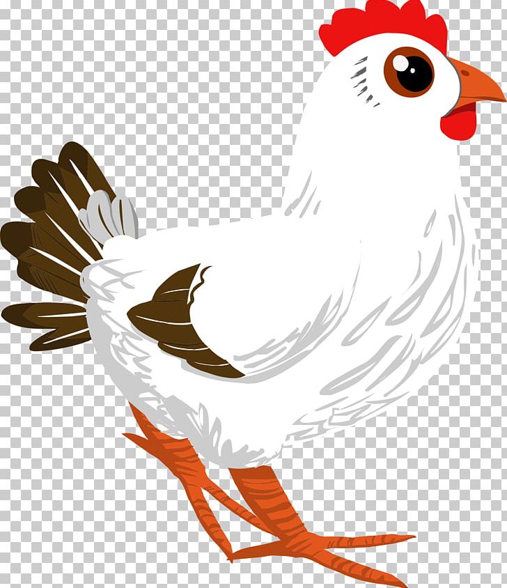 Cochin Chicken Poultry Rooster Egg PNG, Clipart, Animals, Art, Beak, Bird, Branch Free PNG Download