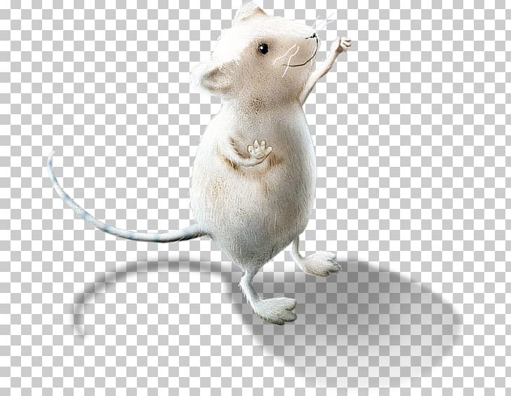 Computer Mouse Brown Rat PNG, Clipart, Animals, Black Rat, Brown Rat, Computer Mouse, Download Free PNG Download