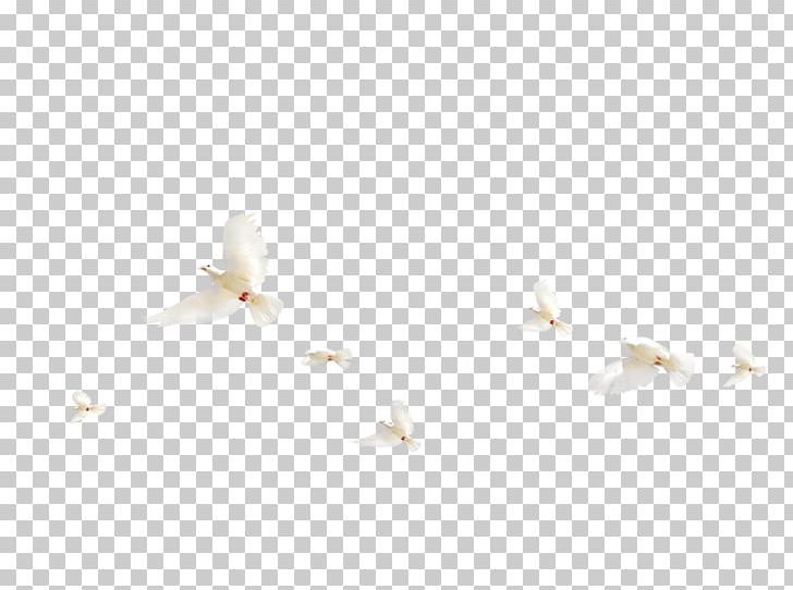 Floor Angle Pattern PNG, Clipart, Angle, Animals, Floor, Flooring, Fly Free PNG Download