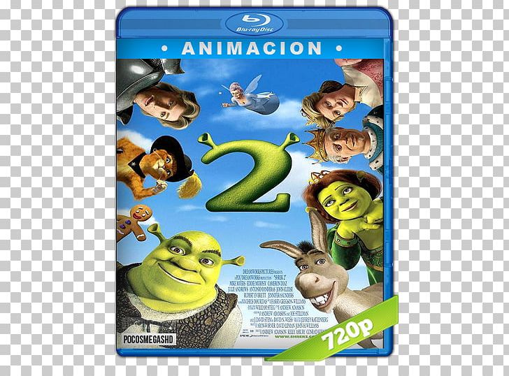 Princess Fiona YouTube Shrek Film Series 720p 1080p PNG, Clipart, 720p, 1080p, 2004, Animated Film, Conrad Vernon Free PNG Download
