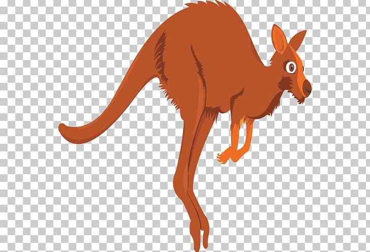 Red Kangaroo PNG, Clipart, Animal Figure, Animals, Carnivoran, Cartoon, Dog Like Mammal Free PNG Download