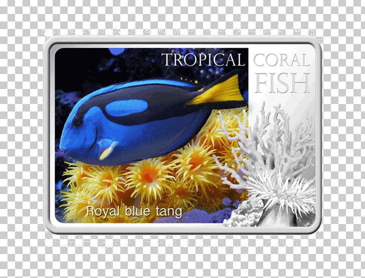 Yellow Tang Animal Zebrasoma PNG, Clipart, Animal, Bake Fish, Organism, Others, Yellow Tang Free PNG Download