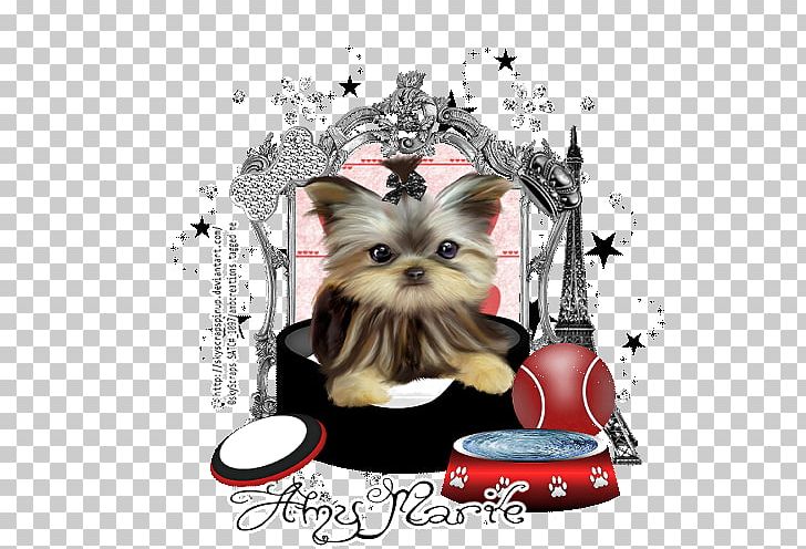 Yorkshire Terrier Puppy Dog Breed Toy Dog Canidae PNG, Clipart, Animal, Animals, Breed, Canidae, Carnivora Free PNG Download