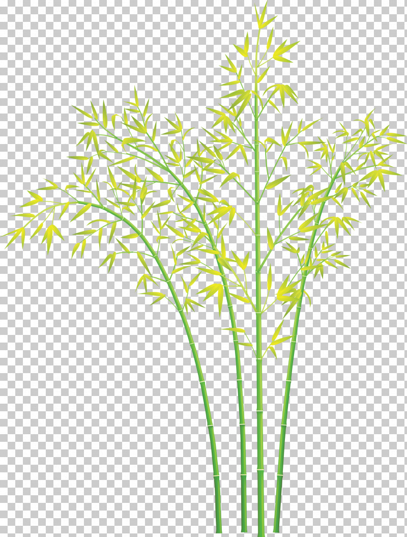 Bamboo Leaf PNG, Clipart, Bamboo, Flower, Grass, Grass Family, Leaf Free PNG Download