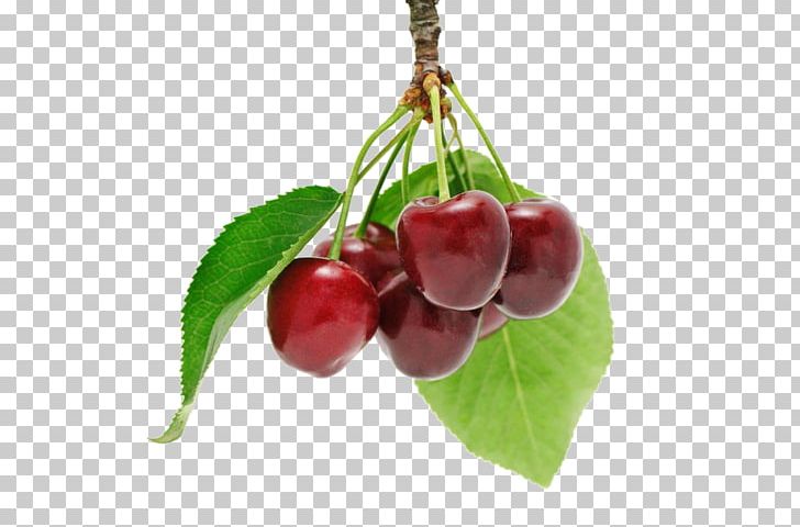 Cherry Fruit Berry PNG, Clipart, Auglis, Berry, Cherries, Cherry, Cherry Blossom Free PNG Download