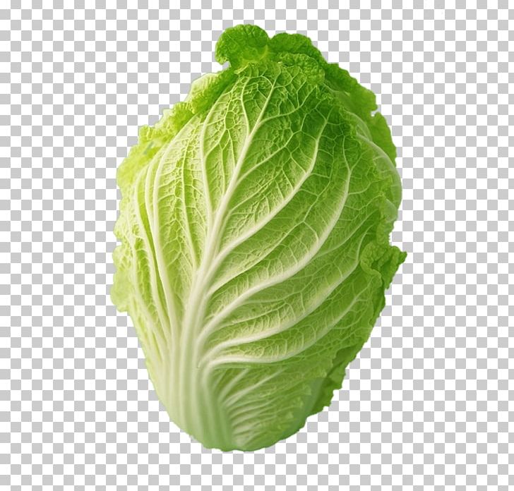 Chinese Cabbage Choy Sum Vegetable PNG, Clipart, Cabbage, Cabbage Family, Cooking, Daikon, Explosion Effect Material Free PNG Download
