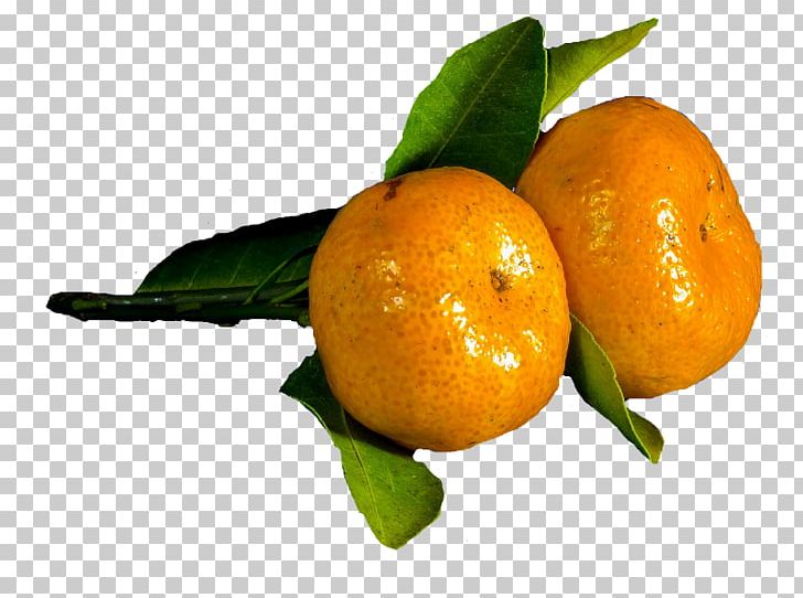 Clementine Mandarin Orange Rangpur Tangerine Tangelo PNG, Clipart, Bitter Orange, Calamondin, Chenpi, Citric Acid, Citron Free PNG Download
