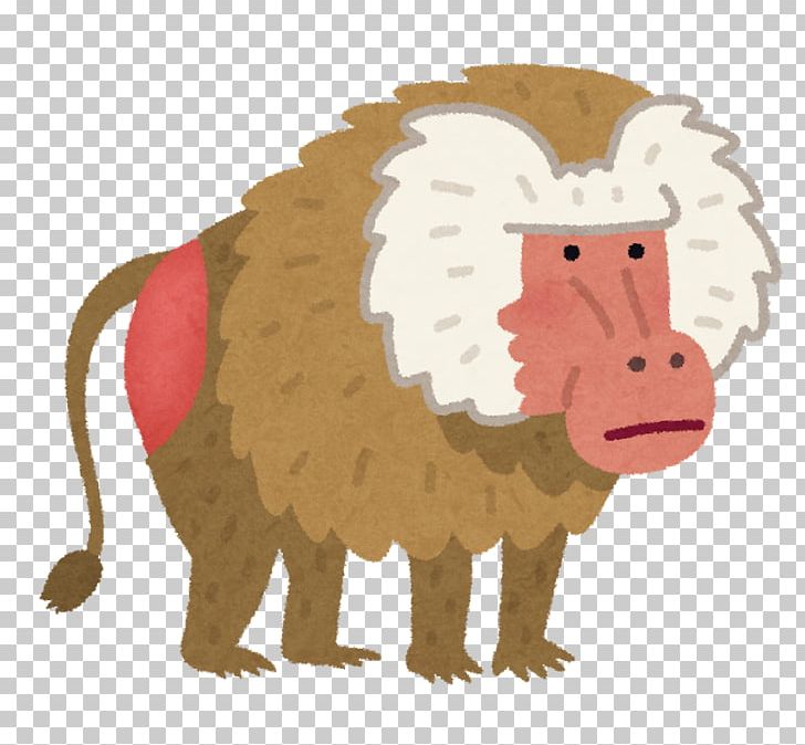 Hamadryas Baboon Japanese Macaque Monkey いらすとや PNG, Clipart, Animal, Animal Figure, Animals, Baboons, Big Cats Free PNG Download