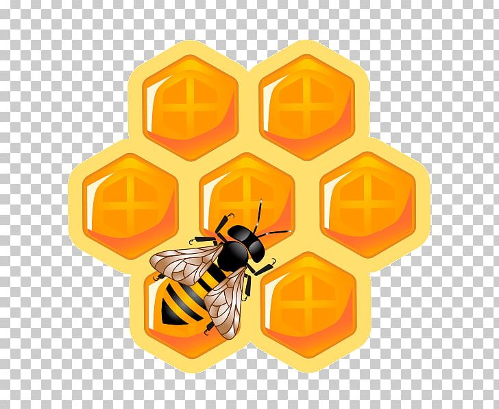 Honey Bee Honeycomb Maya Beehive PNG, Clipart, Bee, Beehive, Bee Honey, Computer Icons, Download Free PNG Download