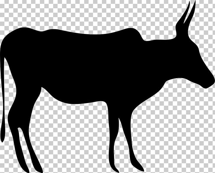 Texas Longhorn English Longhorn Beef Cattle Drawing PNG, Clipart, Animal, Animals, Antelope, Art, Beef Free PNG Download