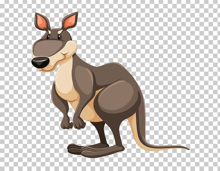The Red Kangaroo PNG, Clipart, Animals, Carnivoran, Dog Like Mammal, Kangaroo, Kangaroo Rat Free PNG Download